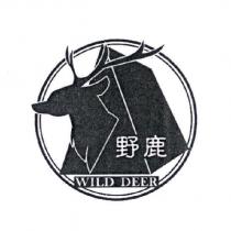 野鹿 WILD DEER 及圖
