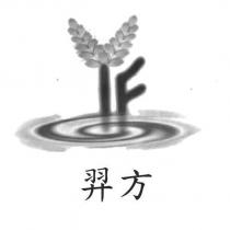 羿方 YF 及圖