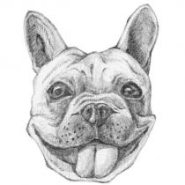 犬設計圖