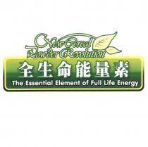 全生命能量素 The Essential Element of Full Life Energy