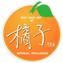 KEEP YOUR DRY BY 橘子-TEX ARTIFICIAL INTELLIGENCE