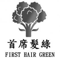 首席髮綠 FIRST HAIR GREEN 及圖