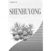 子龍慎乎勇 SHENHUYONG 及圖