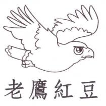 老鷹紅豆及圖