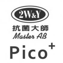 抗菌大師 2W&Y Master AB Pico +及圖