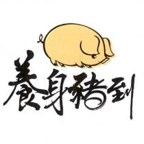 養身豬到及圖