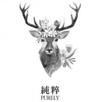 純粹 PURELY 及圖