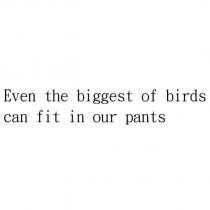Even the biggest of birds can fit in our pants