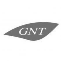 GNT 及圖