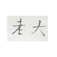 老大