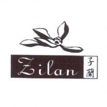 Zilan 子蘭 及圖