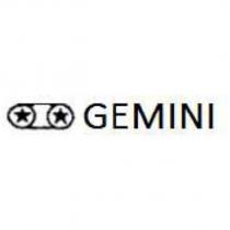 GEMINI 及圖