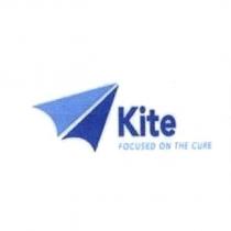 KITE FOCUSED ON THE CURE 及風箏造型圖