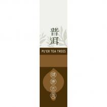 普洱健康志向及圖