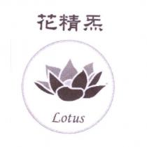 花精炁及圖