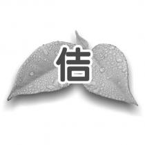 佶及圖