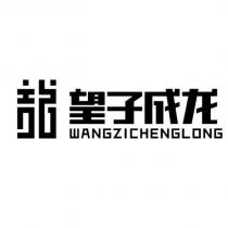 望子成龍 WANGZICHENGLONG 及圖形