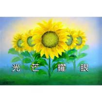 光芒耀眼 及圖