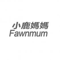 小鹿媽媽 Fawnmum