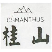 桂山及圖 OSMANTHUS 