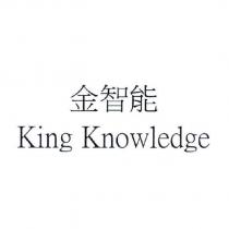 金智能 King Knowledge