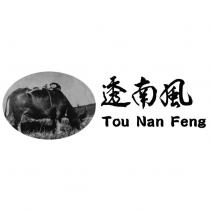 透南風 Tou Nan Feng 及圖
