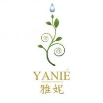 雅妮 YANIE 及圖