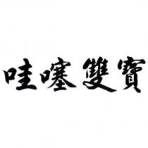 哇噻雙寶