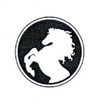 馬設計圖