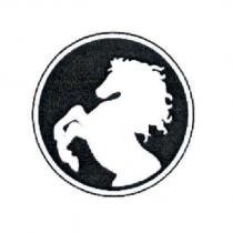 馬設計圖