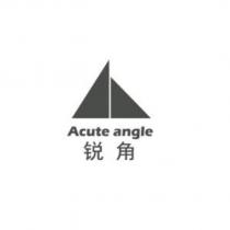 銳角 Acute angle 及圖