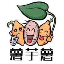 薯芋薯及圖