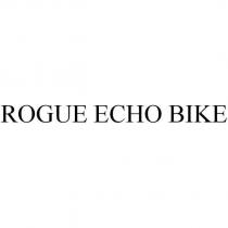 ROGUE ECHO BIKE