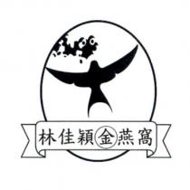 林佳穎金燕窩及圖