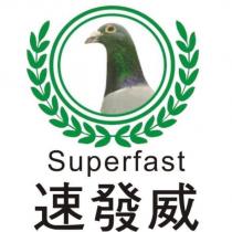 速發威 Superfast 及圖