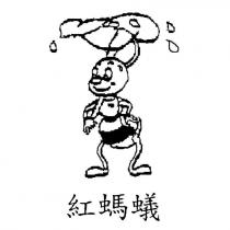 紅螞蟻及圖