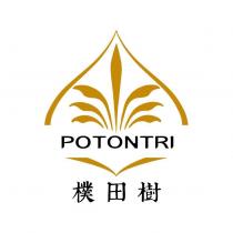 樸田樹 POTONTRI 及圖