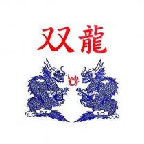 双龍及圖