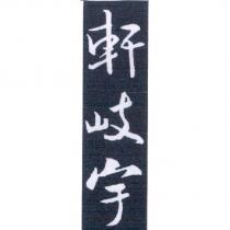 軒岐宇