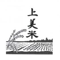 上美米及圖
