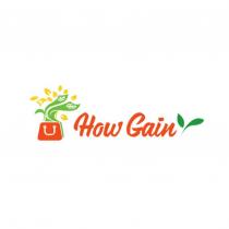 How Gain 及圖