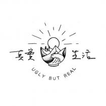 真實生活 ugly but real 及圖