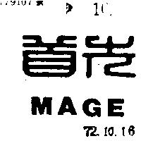 首先 MAGE 