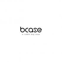 bcase alittle big case