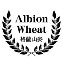 格蘭山麥 Albion Wheat 及圖