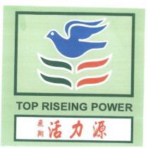 飛翔活力源 TOP RISEING POWER 及圖