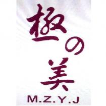 極の美 M.Z.Y