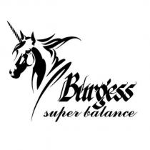 Burgess super balance 及圖