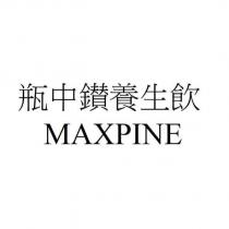 瓶中鑽養生飲 MAXPINE