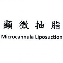 顯微抽脂 Microcannula Liposuction